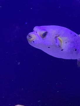 マリンワールド海の中道に投稿された画像（2021/5/4）