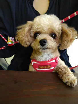 わんダフルネイチャーヴィレッジに投稿された画像（2021/5/4）