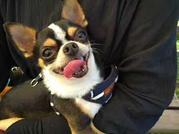 わんダフルネイチャーヴィレッジに投稿された画像（2021/5/4）