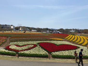 牧歌の里に投稿された画像（2021/5/4）