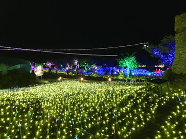 伊豆ぐらんぱる公園に投稿された画像（2021/5/4）