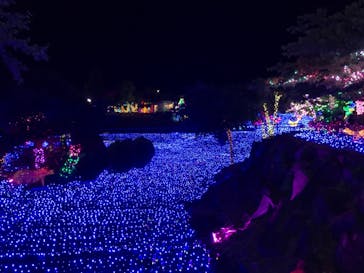 伊豆ぐらんぱる公園に投稿された画像（2021/5/4）