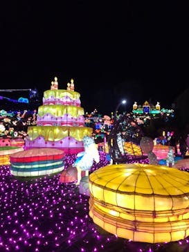 伊豆ぐらんぱる公園に投稿された画像（2021/5/4）