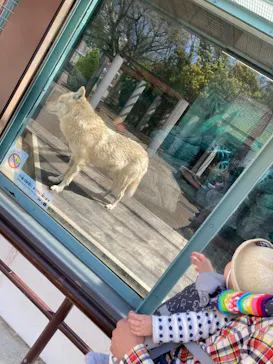 天王寺動物園に投稿された画像（2021/5/4）