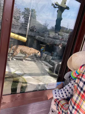 天王寺動物園に投稿された画像（2021/5/4）