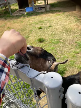 天王寺動物園に投稿された画像（2021/5/4）