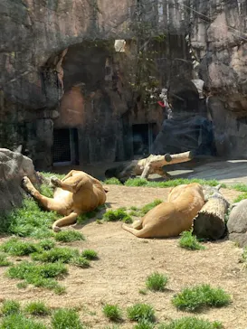 天王寺動物園に投稿された画像（2021/5/4）
