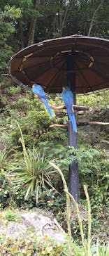 長崎バイオパークに投稿された画像（2021/5/4）