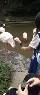 長崎バイオパークに投稿された画像（2021/5/4）