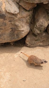 長崎バイオパークに投稿された画像（2021/5/4）