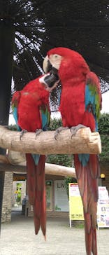 長崎バイオパークに投稿された画像（2021/5/4）