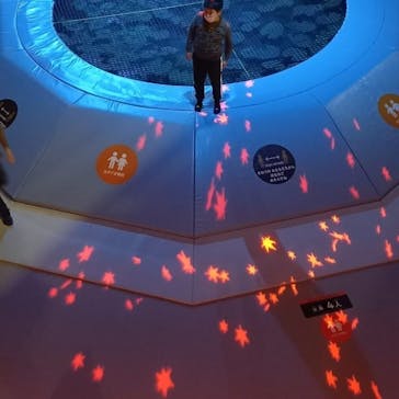 モビリティリゾートもてぎに投稿された画像（2021/5/3）