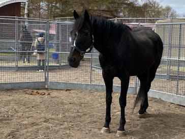 ノーザンホースパークに投稿された画像（2021/5/5）