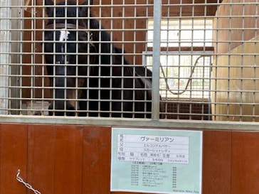 ノーザンホースパークに投稿された画像（2021/5/5）