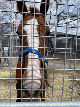 ノーザンホースパークに投稿された画像（2021/5/5）