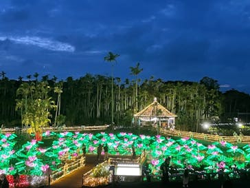 美らヤシパークオキナワ・東南植物楽園に投稿された画像（2021/5/5）