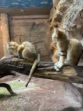 那須どうぶつ王国に投稿された画像（2021/5/5）