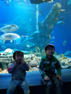 鳥羽水族館に投稿された画像（2021/5/5）