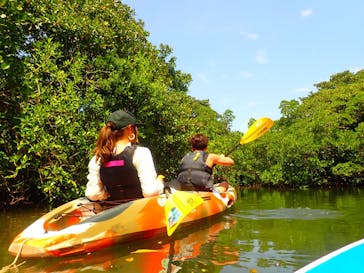 西表島 ADVENTURE PiPi（アドベンチャーピピ）に投稿された画像（2021/5/5）