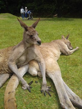 長崎バイオパークに投稿された画像（2021/5/4）