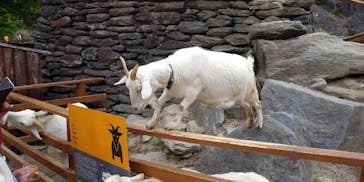 長崎バイオパークに投稿された画像（2021/5/4）