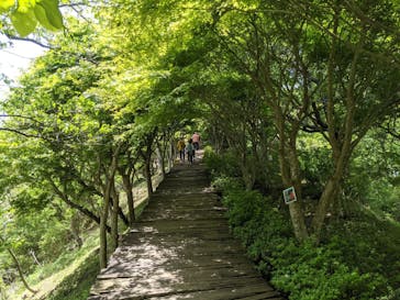 伊豆パノラマパークに投稿された画像（2021/5/5）