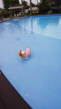 わんダフルネイチャーヴィレッジに投稿された画像（2021/5/5）