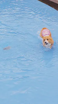 わんダフルネイチャーヴィレッジに投稿された画像（2021/5/5）