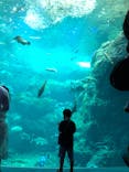 新江ノ島水族館に投稿された画像（2021/5/5）
