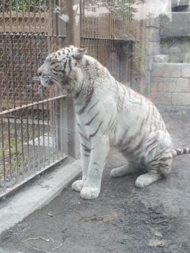 東武動物公園に投稿された画像（2021/5/5）