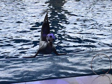 アクアワールド茨城県大洗水族館に投稿された画像（2021/5/5）