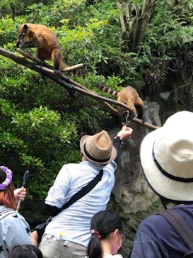 長崎バイオパークに投稿された画像（2021/5/5）