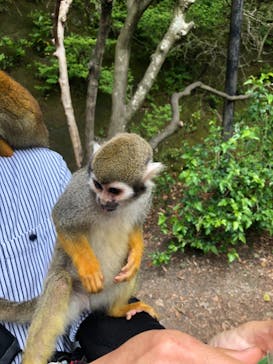 長崎バイオパークに投稿された画像（2021/5/5）