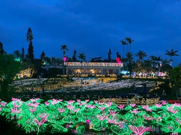 美らヤシパークオキナワ・東南植物楽園に投稿された画像（2021/5/5）