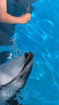 マリンワールド海の中道に投稿された画像（2021/5/5）