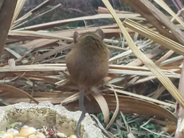 仙台うみの杜水族館に投稿された画像（2021/5/5）