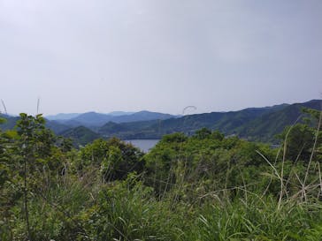 さがみ湖MORI MORIに投稿された画像（2021/5/5）