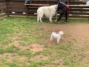 わんダフルネイチャーヴィレッジに投稿された画像（2021/5/5）