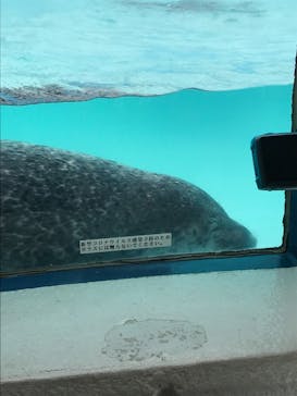 京急油壺マリンパークに投稿された画像（2021/5/5）