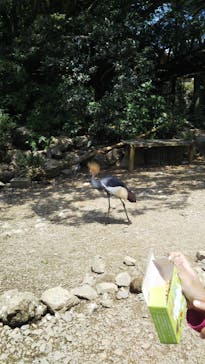 ネオパークオキナワに投稿された画像（2021/5/5）