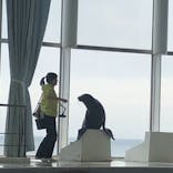 アクアワールド茨城県大洗水族館に投稿された画像（2021/5/5）