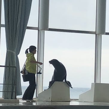 アクアワールド茨城県大洗水族館に投稿された画像（2021/5/5）