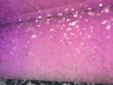 アクアワールド茨城県大洗水族館に投稿された画像（2021/5/5）