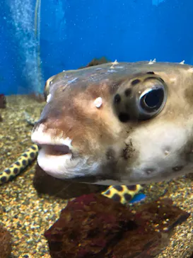 仙台うみの杜水族館に投稿された画像（2021/5/5）