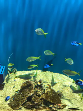 仙台うみの杜水族館に投稿された画像（2021/5/5）