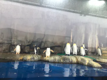 仙台うみの杜水族館に投稿された画像（2021/5/5）