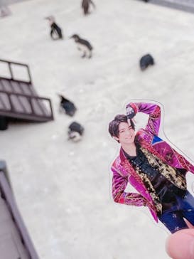 横浜・八景島シーパラダイスに投稿された画像（2021/5/5）