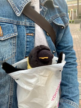 横浜・八景島シーパラダイスに投稿された画像（2021/5/5）