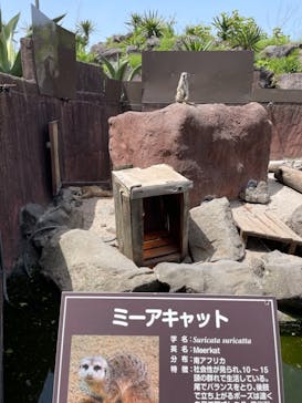 伊豆シャボテン動物公園に投稿された画像（2021/5/5）