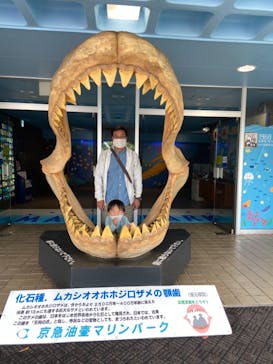 京急油壺マリンパークに投稿された画像（2021/5/5）